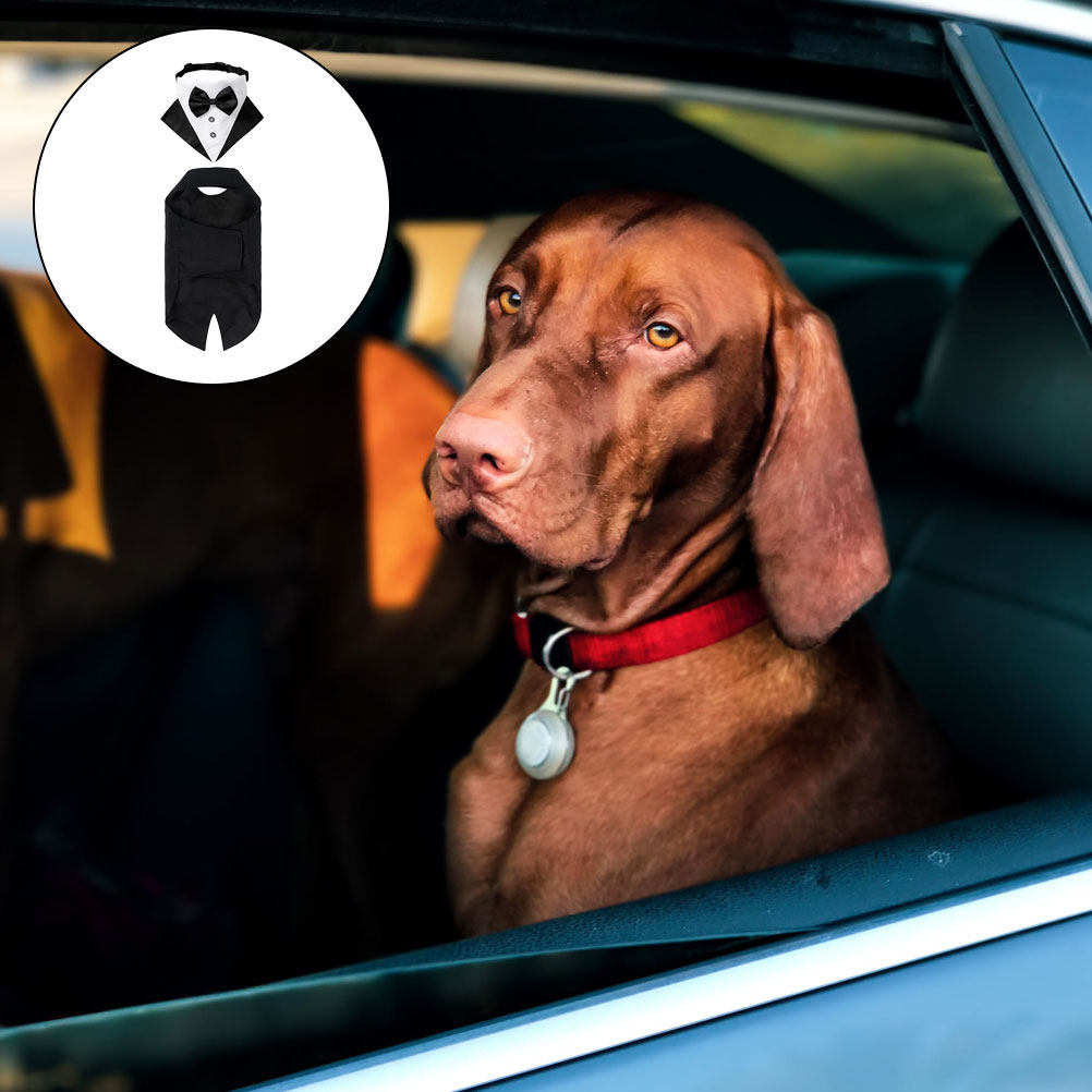 Suitsupply Wedding Tuxedo - 1Set Hondenkostuum en Bandana Honden Smoking