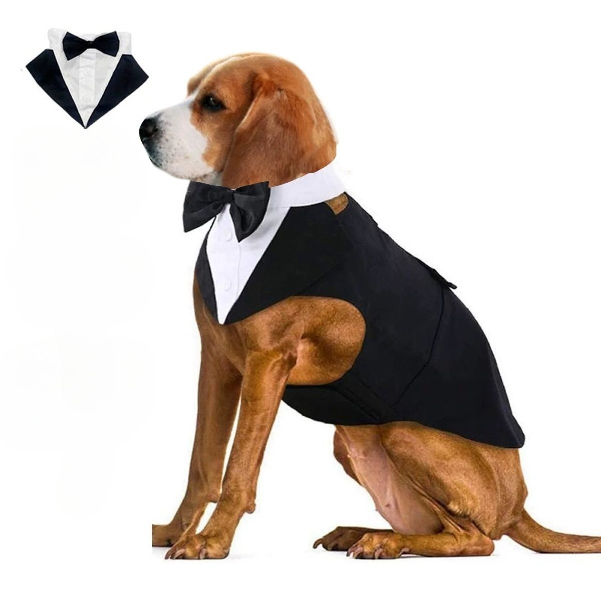 Hondenkleding mode feest show  - Suitsupply Wedding Tuxedo recensie en prijs
